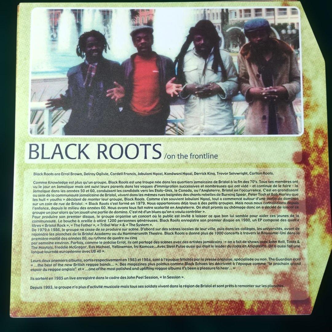 洋楽 BLACK ROOTS On the frontline 2LP
