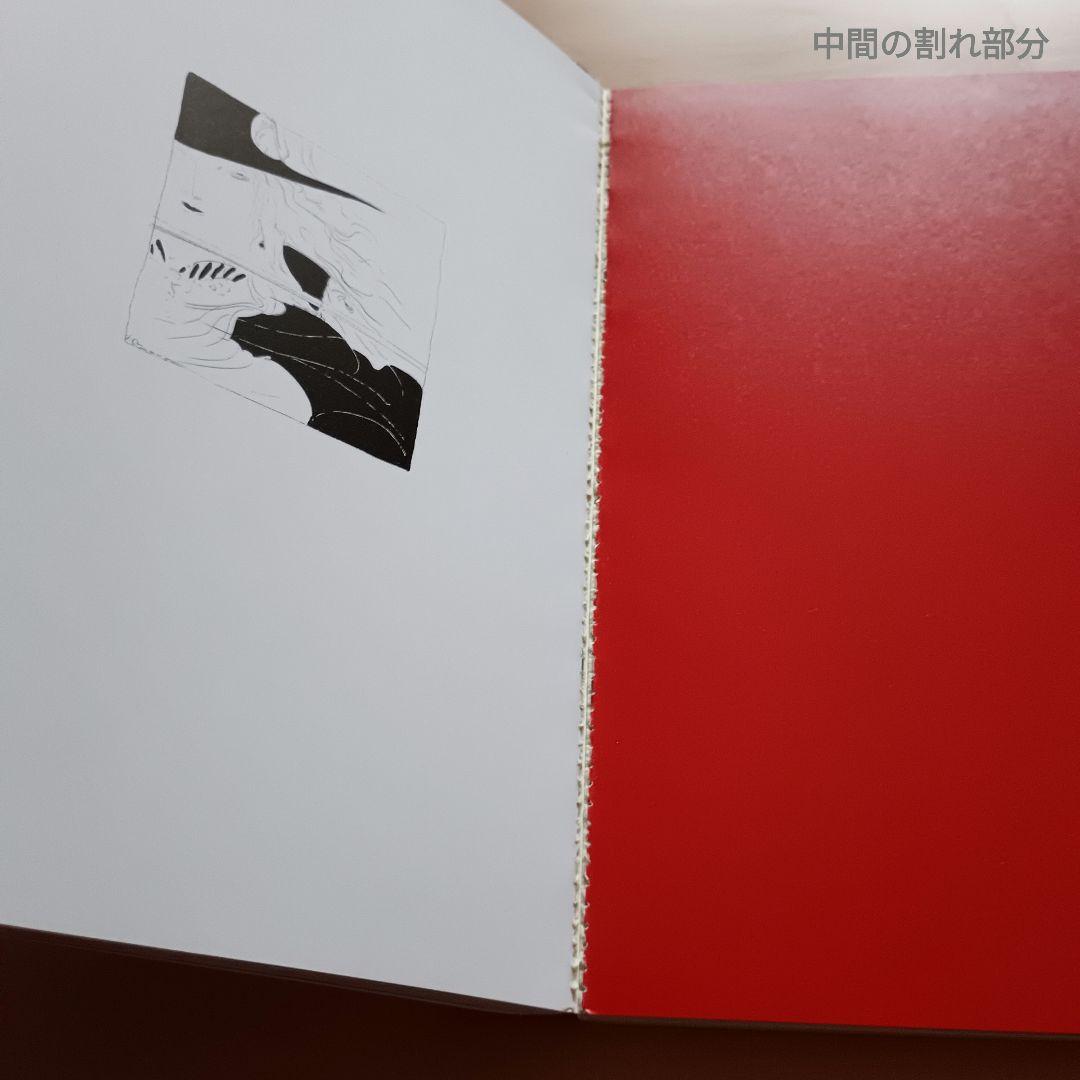 天野喜孝画集「吸血鬼ハンターD」完璧プラス版／ソノラマ文庫 創刊25周年記念出版