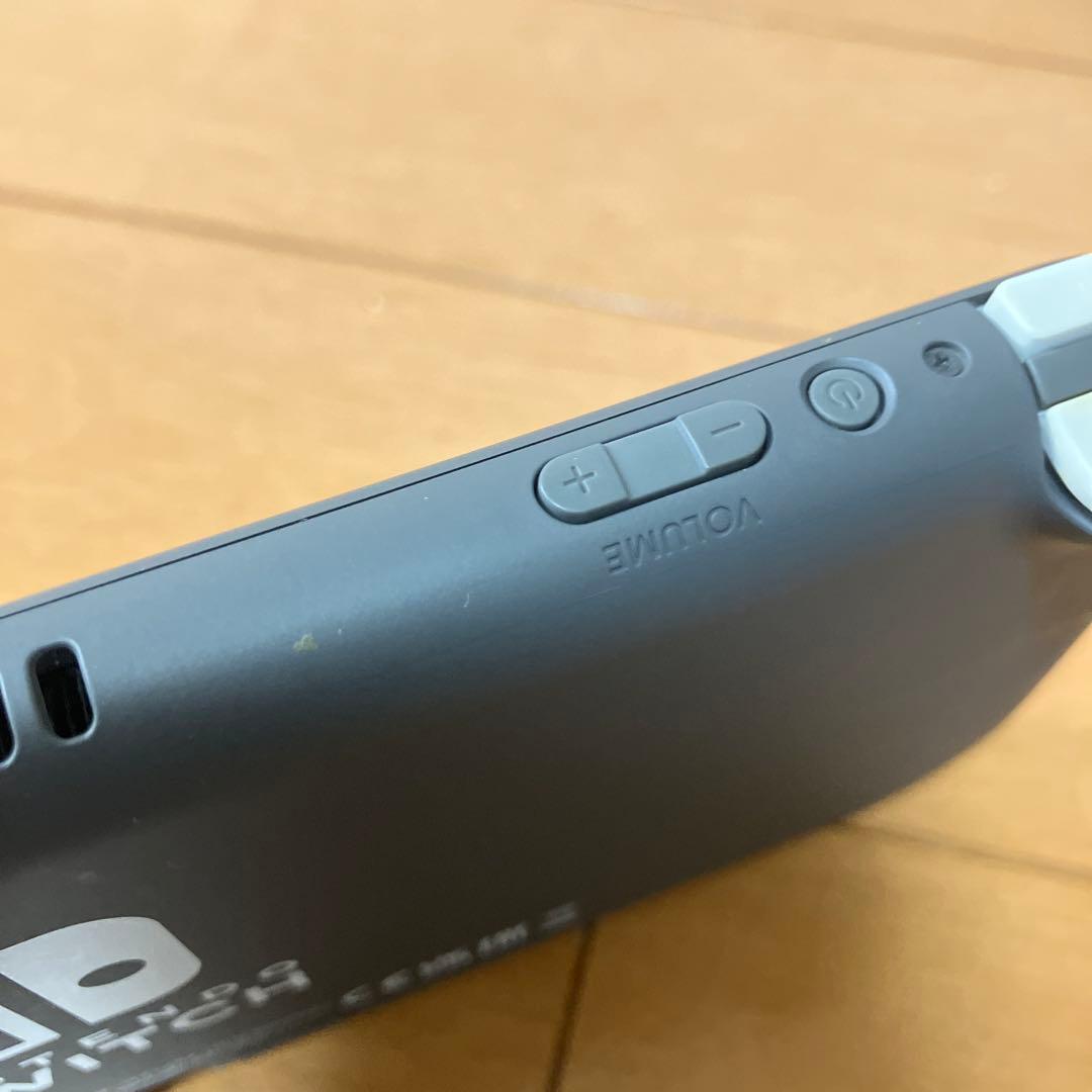 Nintendo Switch Lite グレイ/液晶画面フィルム＆充電器付き