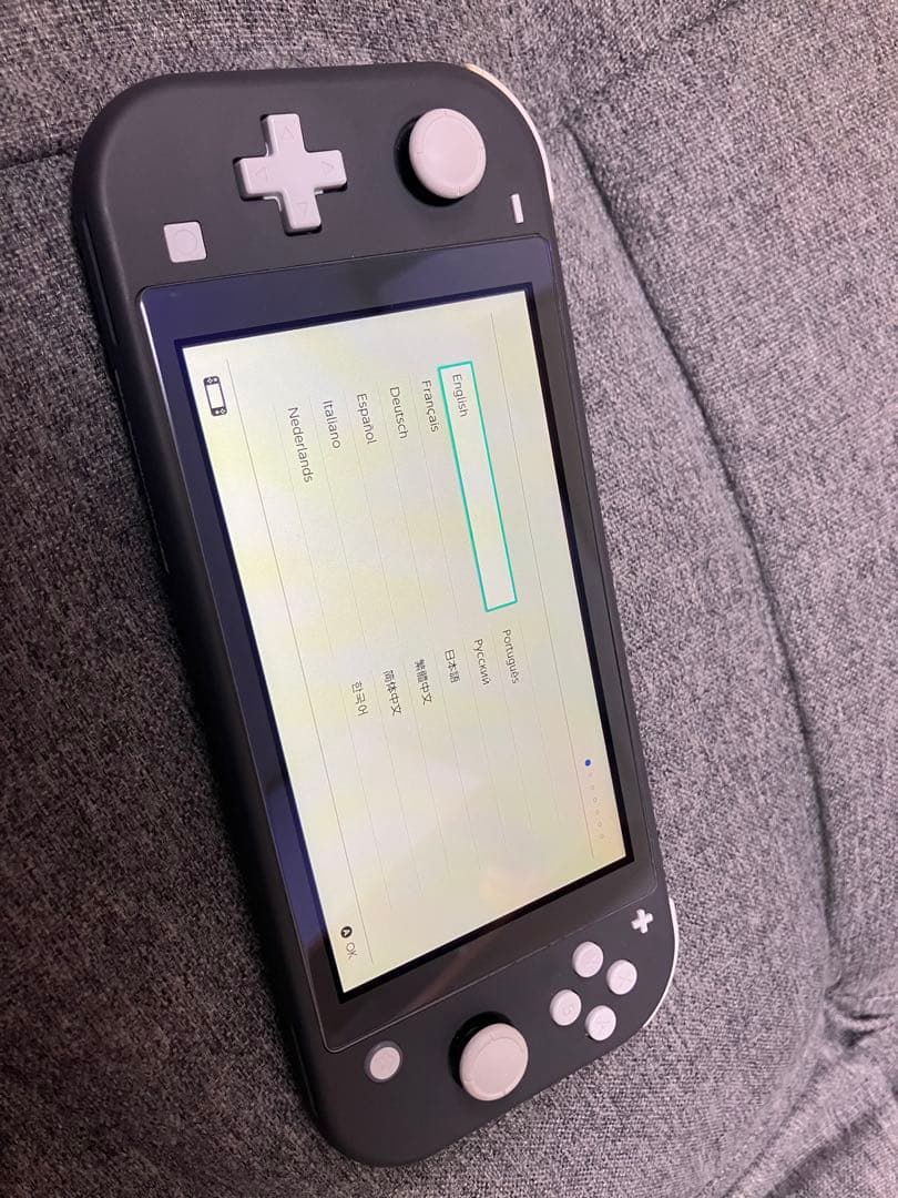 Nintendo Switch Lite グレイ/液晶画面フィルム＆充電器付き