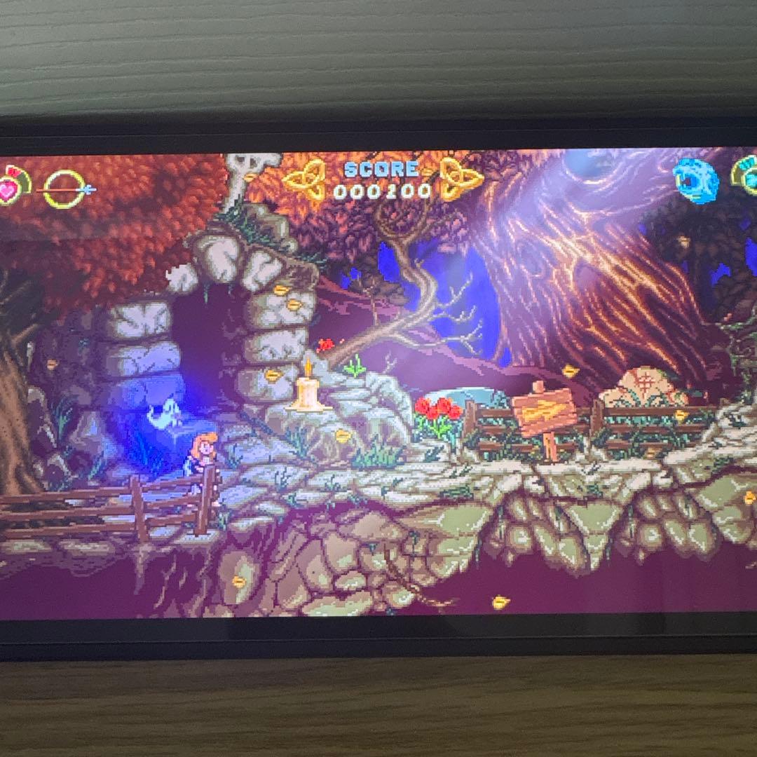 バトルプリンセス マデリーン　BattlePrincess Madelyn