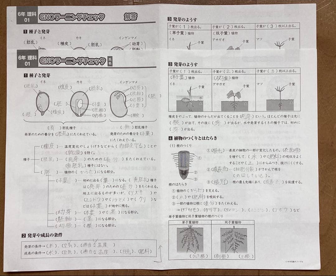 中学受験　グノーブル　6年理科フルセット