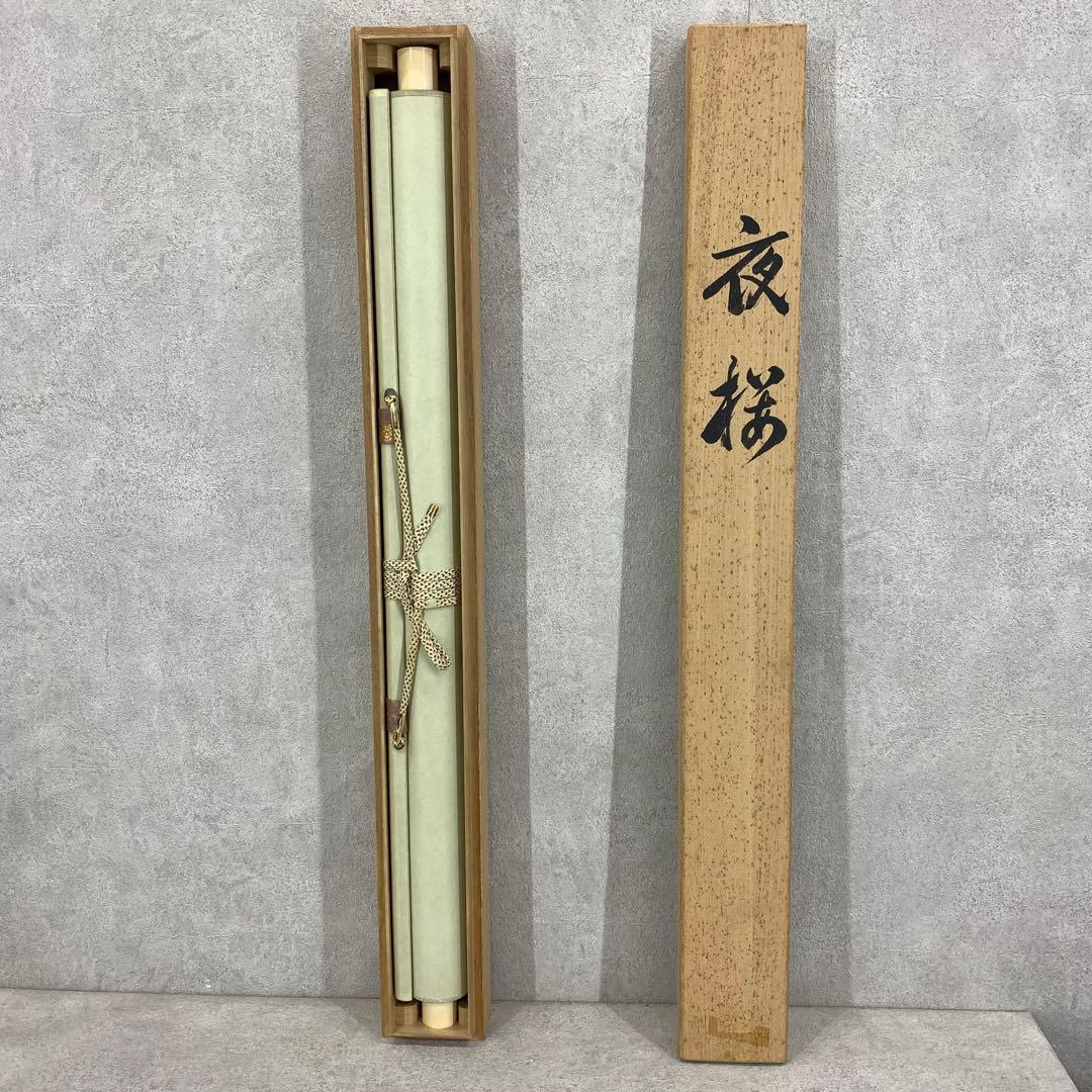 掛軸 夜桜 共箱 春 花 季節