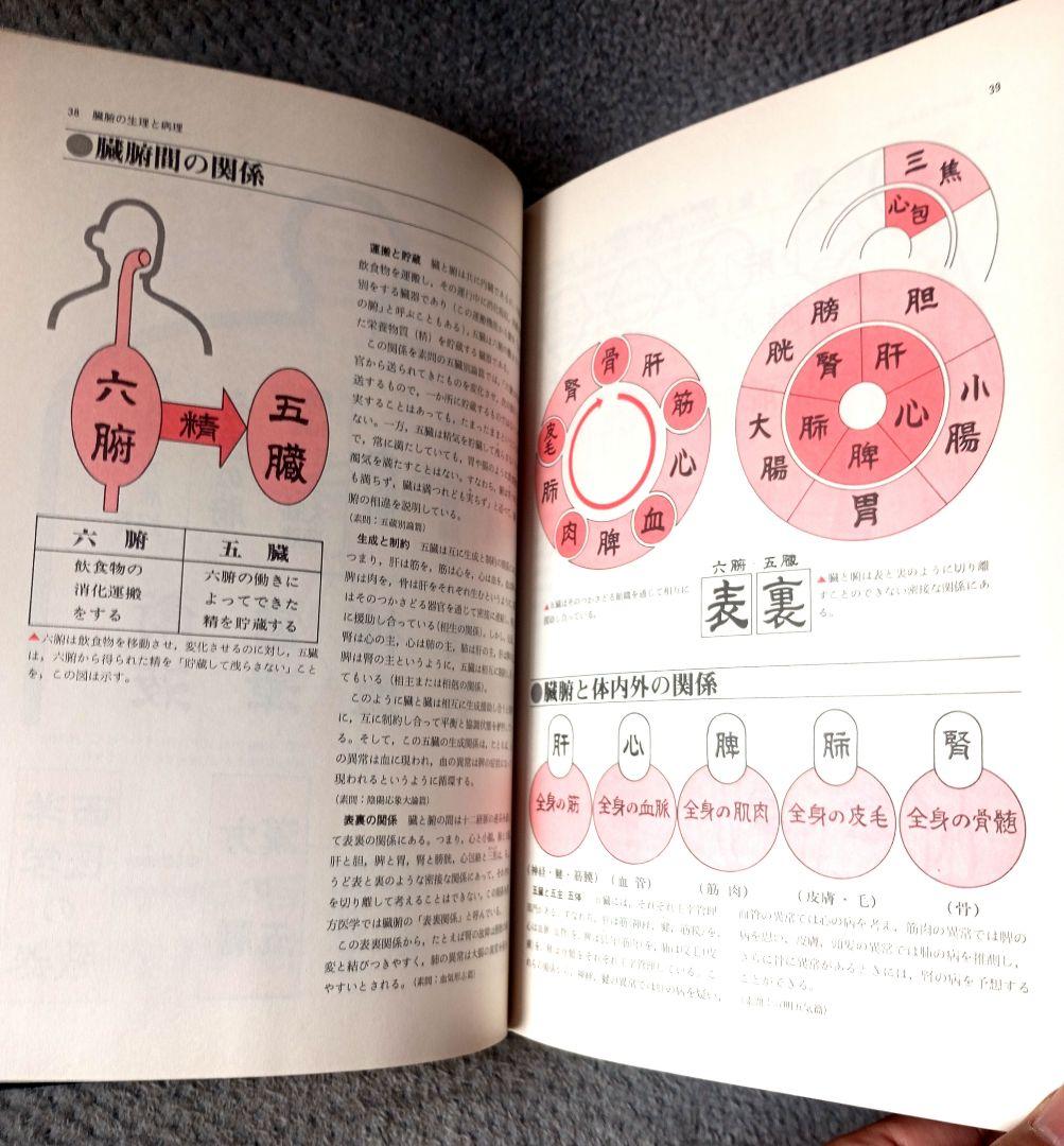 図説 東洋医学　山田光胤/代田文彦/はやし浩司
