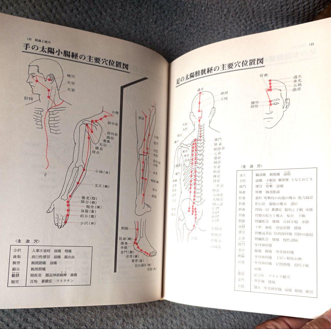 図説 東洋医学　山田光胤/代田文彦/はやし浩司