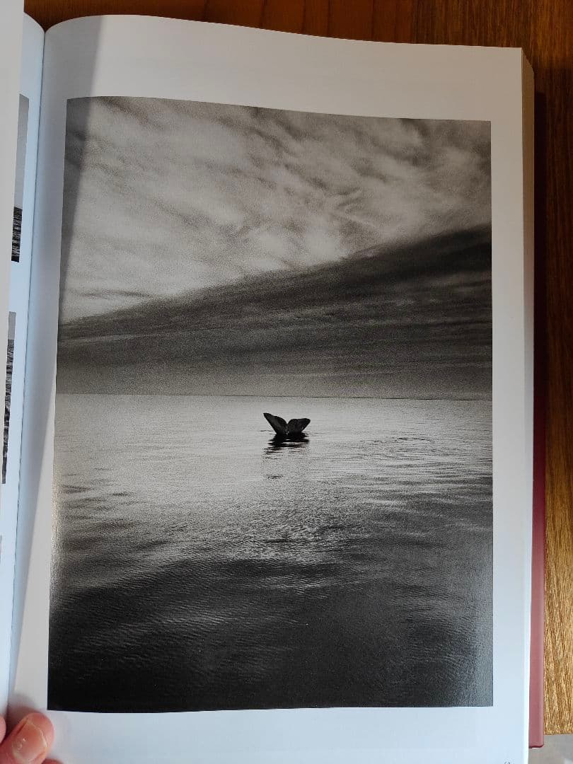 GENESIS SEBASTIÃO SALGADO TASCHEN