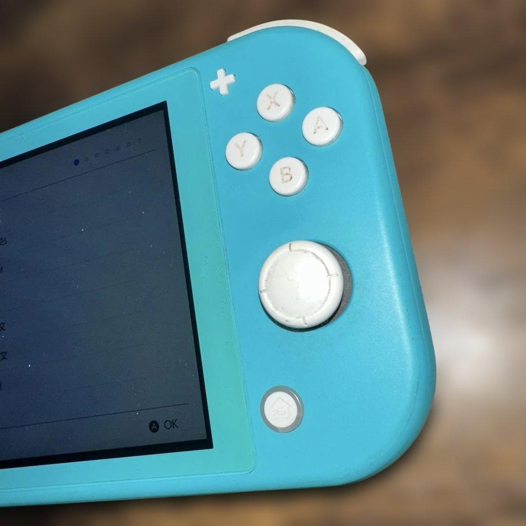 Nintendo Switch Lite ターコイズ SDカード ケース付
