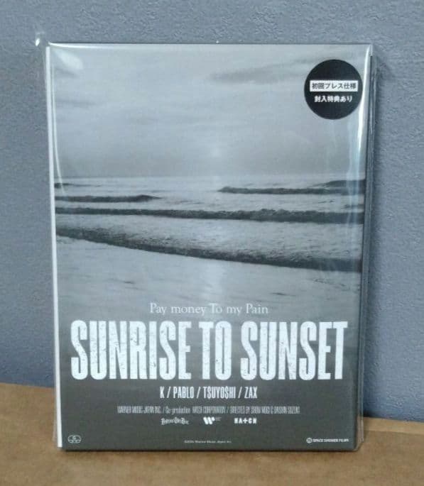 Pay money To my pain/SUNRISE TO SUNSET/…