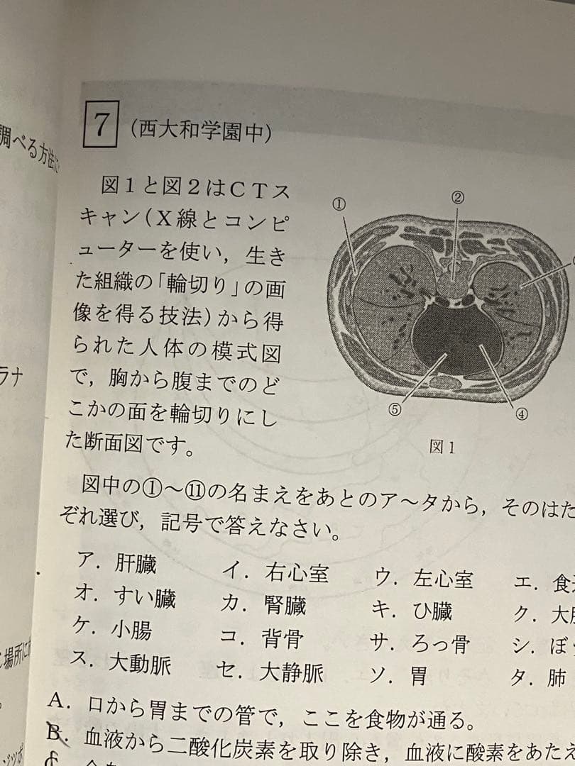 資格制講座　希学園小6最高レベル演習　難関中過去問改題豊富
