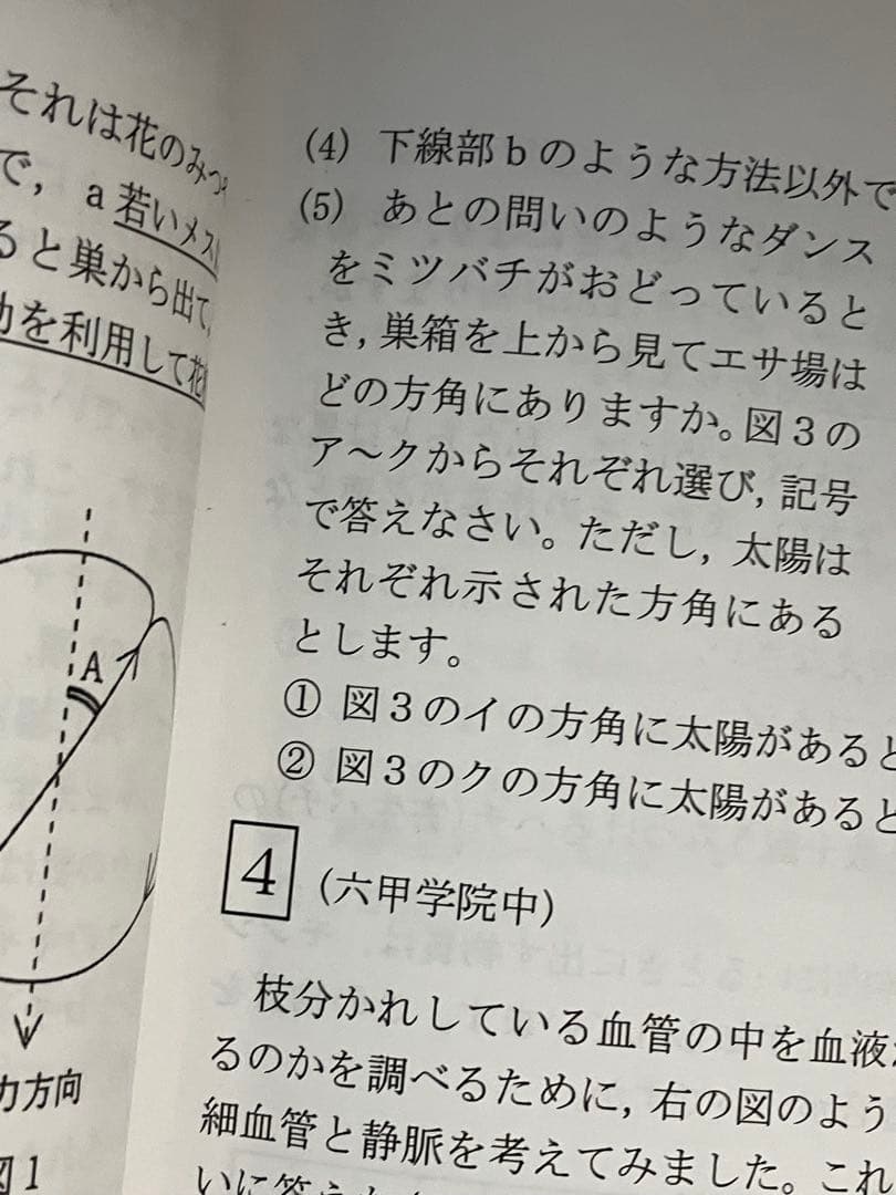 資格制講座　希学園小6最高レベル演習　難関中過去問改題豊富