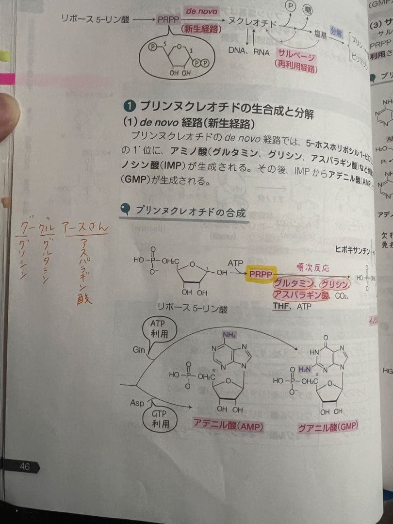 薬ゼミの要点集 9冊セット