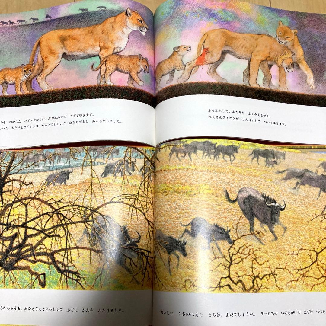 絵本まとめ売り　吉田遠志作　動物絵本シリーズ　アフリカ　希少絵本　初版あり　美品