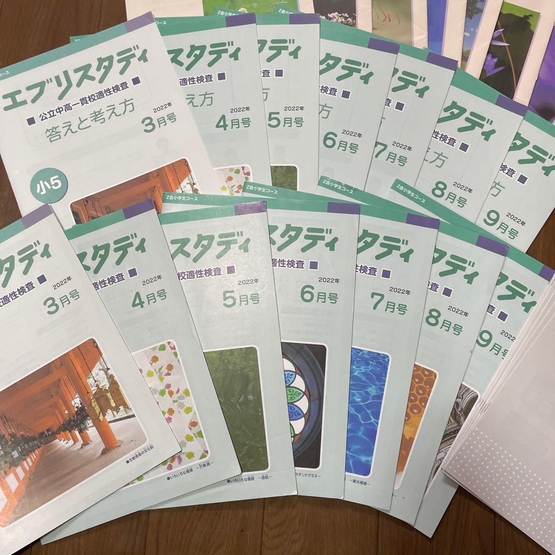 【特価】エブリスタディ公立中高一貫校適性検査　作文　3月から9月
