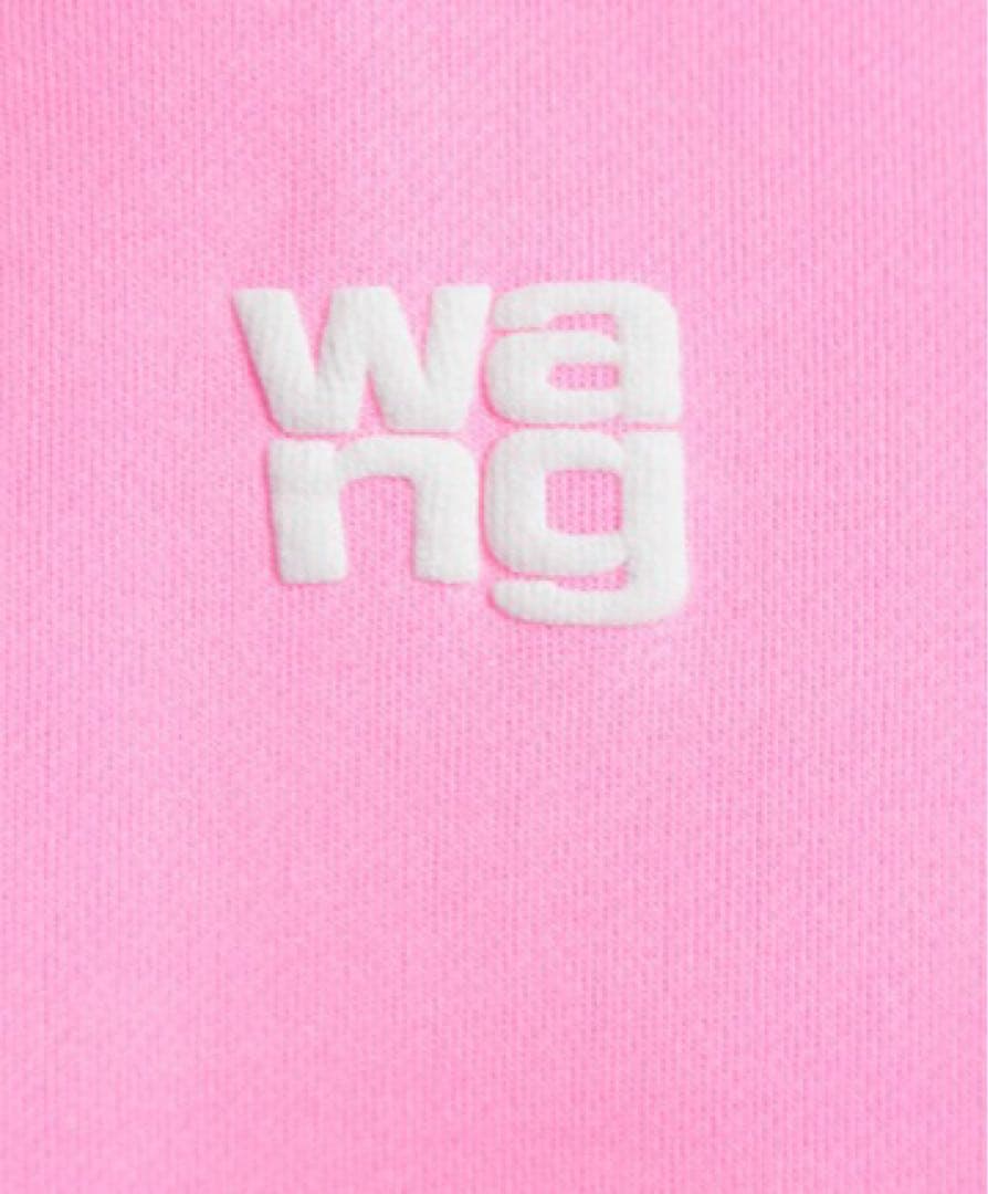 【最終値下げ】Alexander Wang パーカー