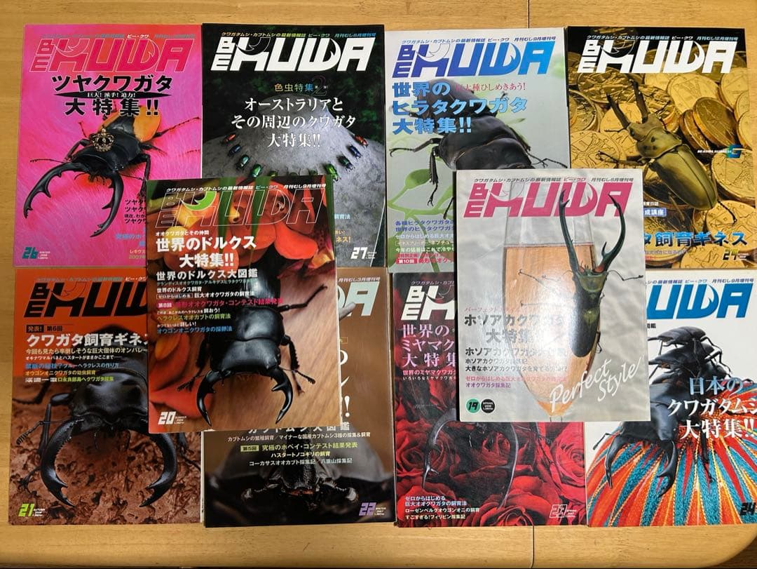 ビークワ　20冊まとめ売り