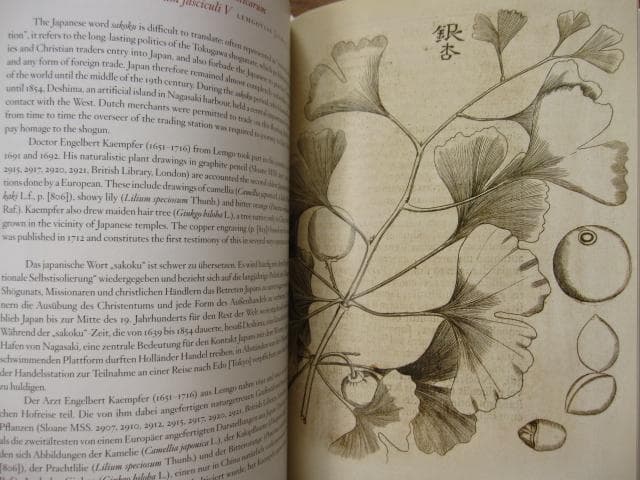 アート・デザイン・音楽 Masterpieces of Botanical Illustration
