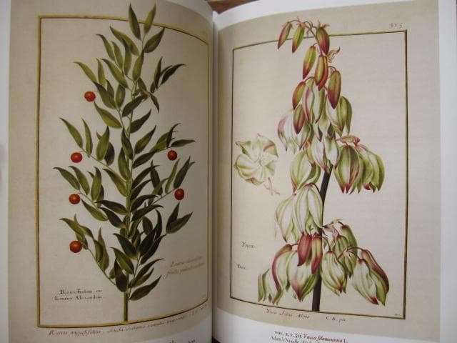 アート・デザイン・音楽 Masterpieces of Botanical Illustration