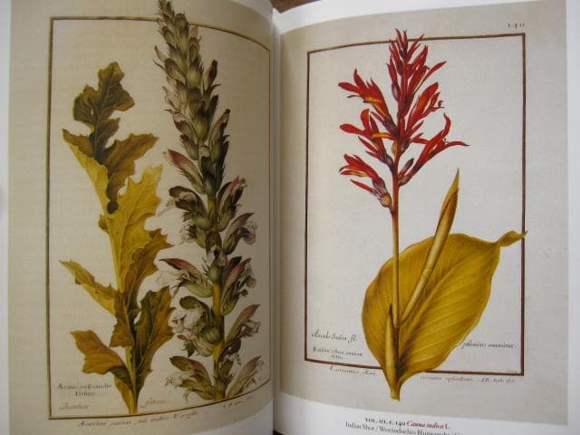 アート・デザイン・音楽 Masterpieces of Botanical Illustration