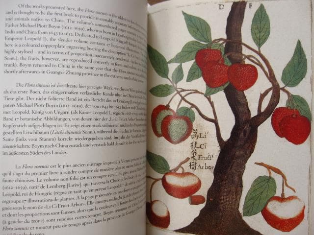 アート・デザイン・音楽 Masterpieces of Botanical Illustration