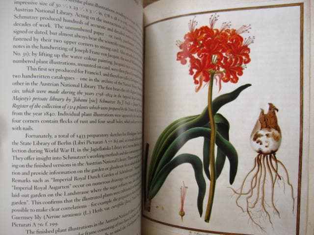 アート・デザイン・音楽 Masterpieces of Botanical Illustration