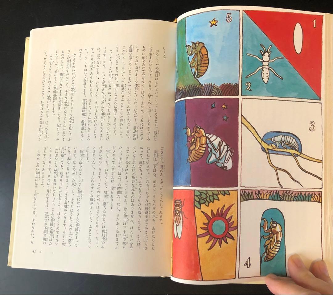 古書　昆虫記　カラー版　少年少女世界の文学　レトロ　河出書房　昭和