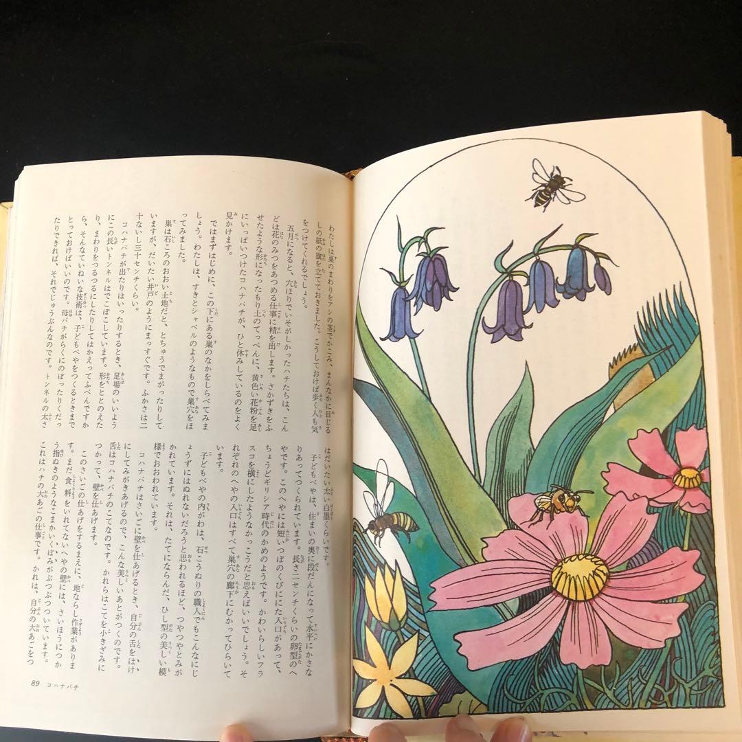 古書　昆虫記　カラー版　少年少女世界の文学　レトロ　河出書房　昭和