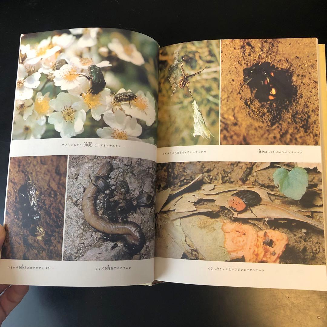 古書　昆虫記　カラー版　少年少女世界の文学　レトロ　河出書房　昭和