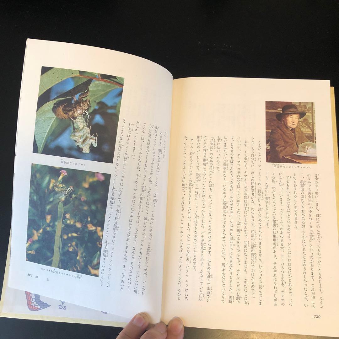 古書　昆虫記　カラー版　少年少女世界の文学　レトロ　河出書房　昭和