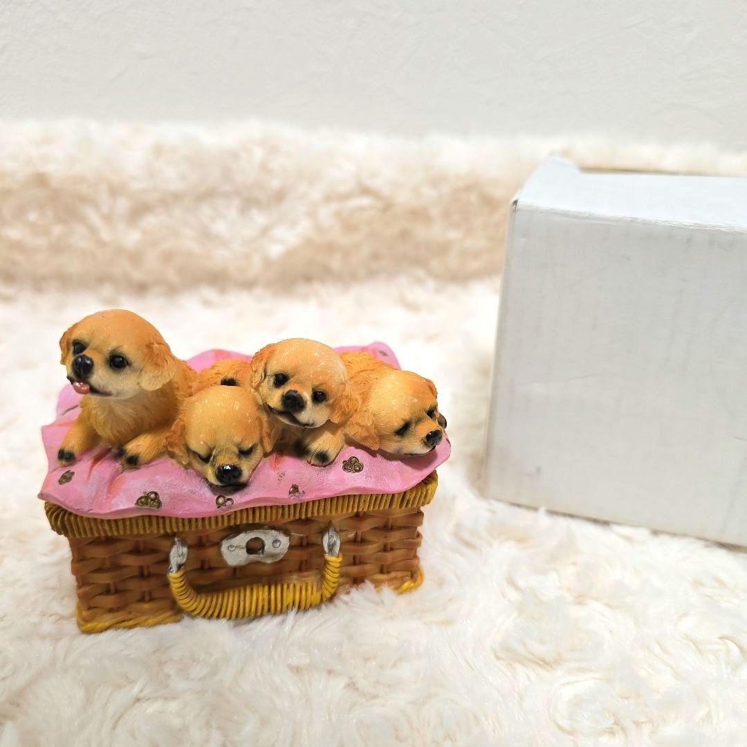 新品 かわいい子犬 小物入れ 外箱あり