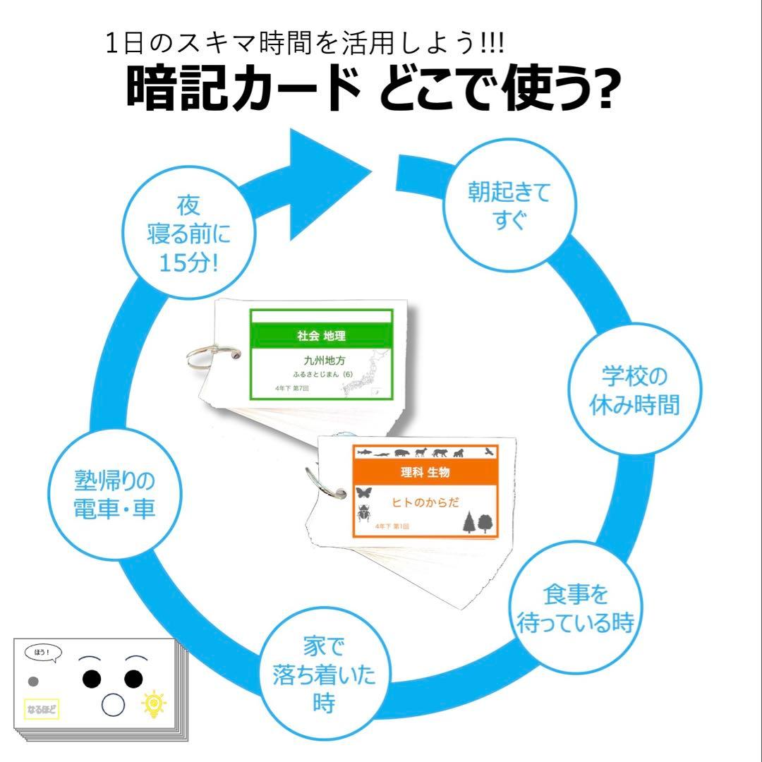 中学受験 暗記カード【4年生向け 理科上下 生物全セット】植物,動物