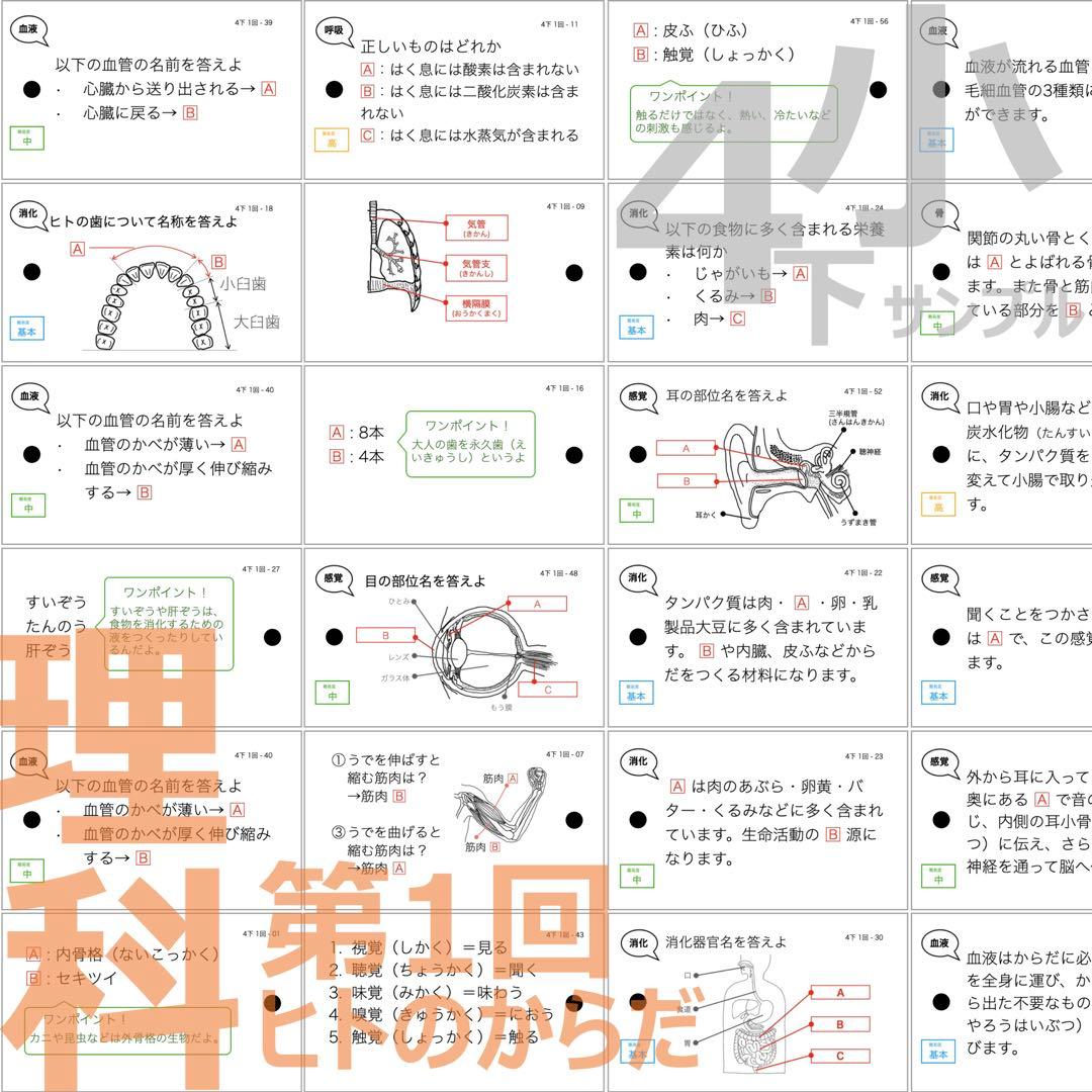 中学受験 暗記カード【4年生向け 理科上下 生物全セット】植物,動物