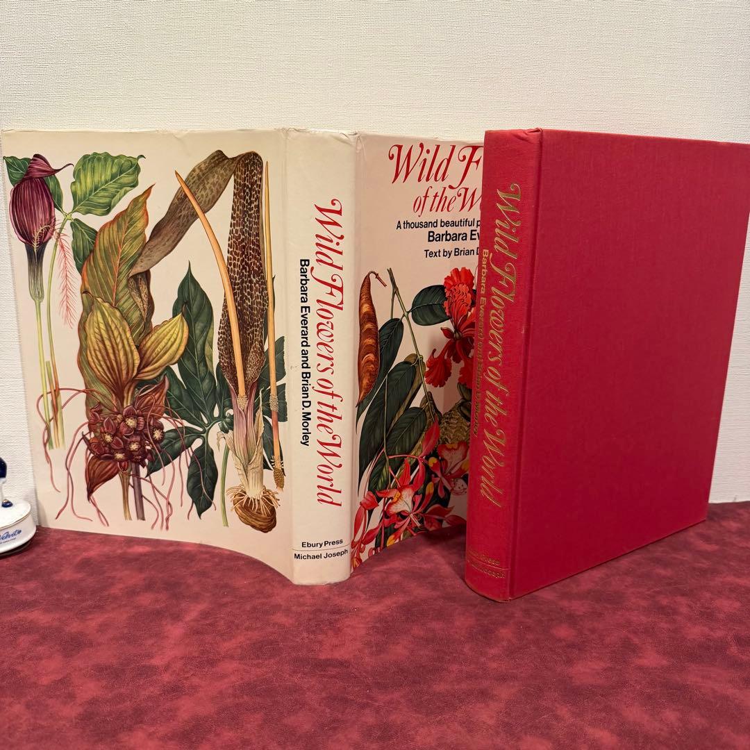 1210B⑩1970年初版植物図鑑　ジャンクジャーナル　ボタンニカル　洋書古書