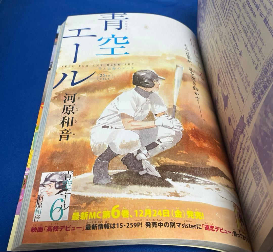 別冊マーガレット2011年1月号とじこみふろくアオハライド 君に届け カレンダー