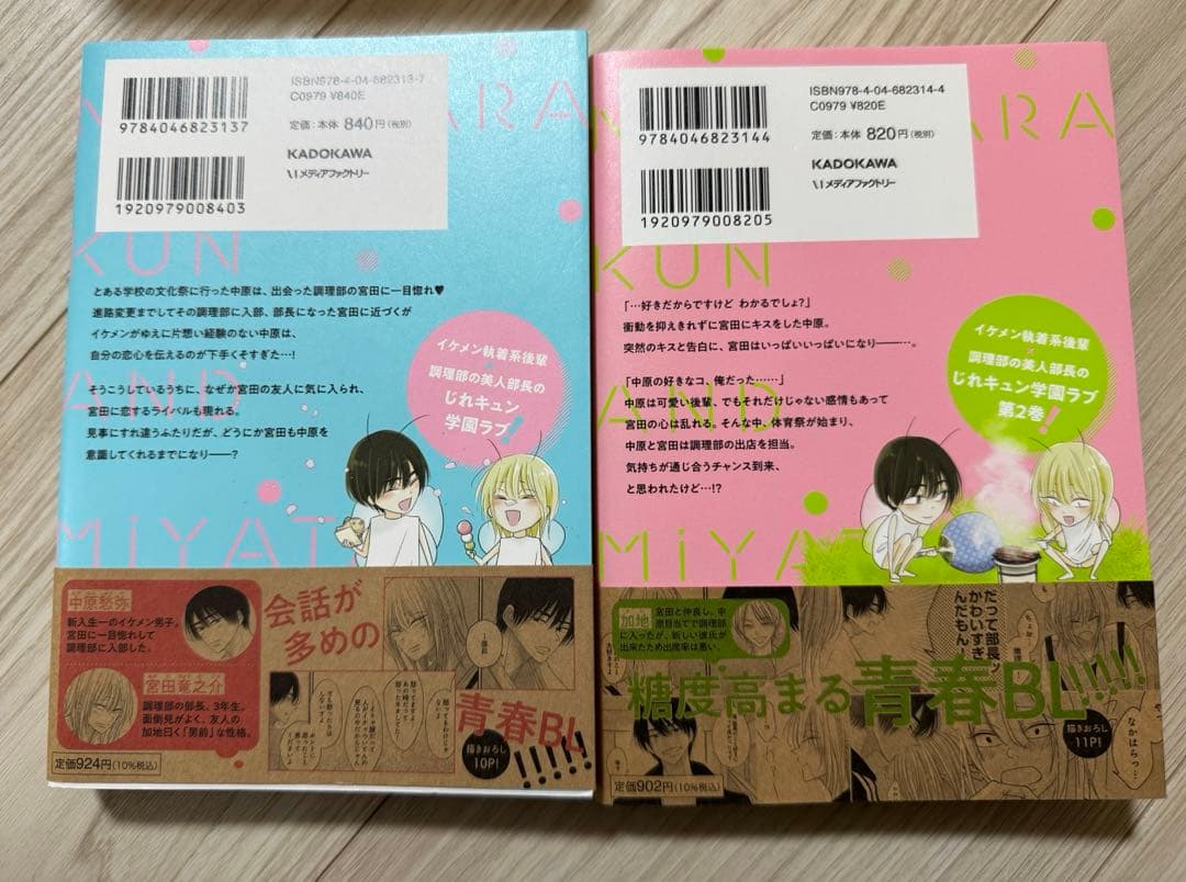 中原くんと宮田部長 1〜6巻 小冊子 リーフレット ペーパー 特典付き