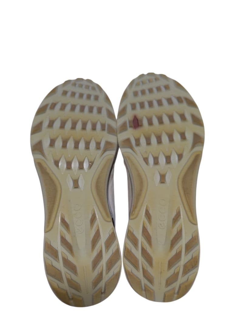 【定価44,000円】Ecco エコー☆BIOM C4 BOA 27.5