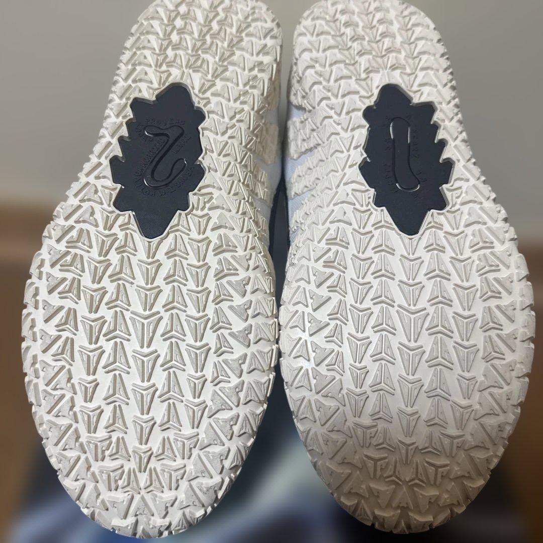シューズ(男性用) Nike JA3 coconut milk24.5cm