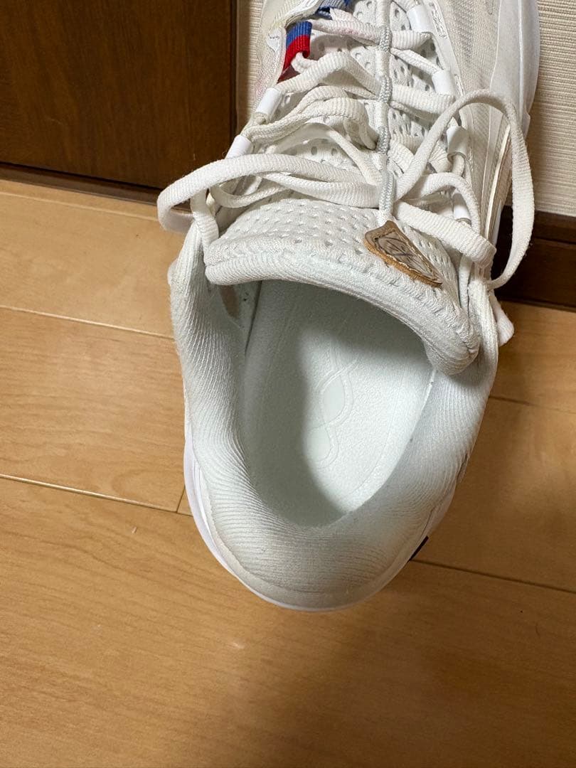 LI-NING WADE 808 5 ULTRA メンズ バスケシューズ