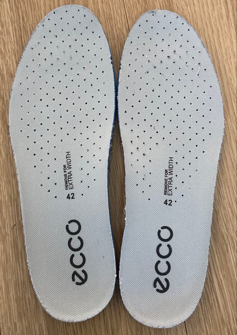 ECCO Gore-TexゴルフシューズEU42【26cm】美品