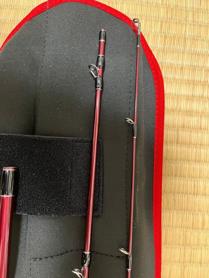 FISHMAN Beams blancsierra 5.2UL【美品】