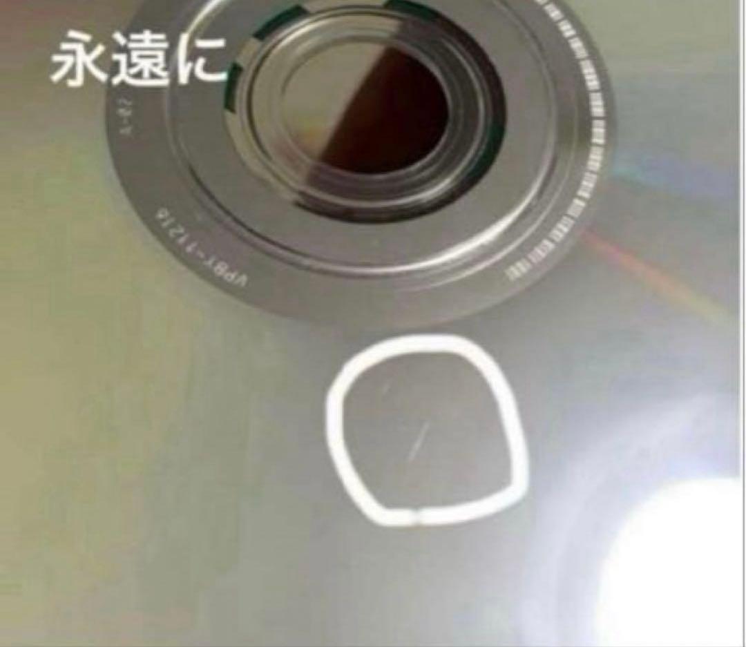 フィニアス 廃盤 デジタル所さん DVD 全巻 コンプリート 希少！