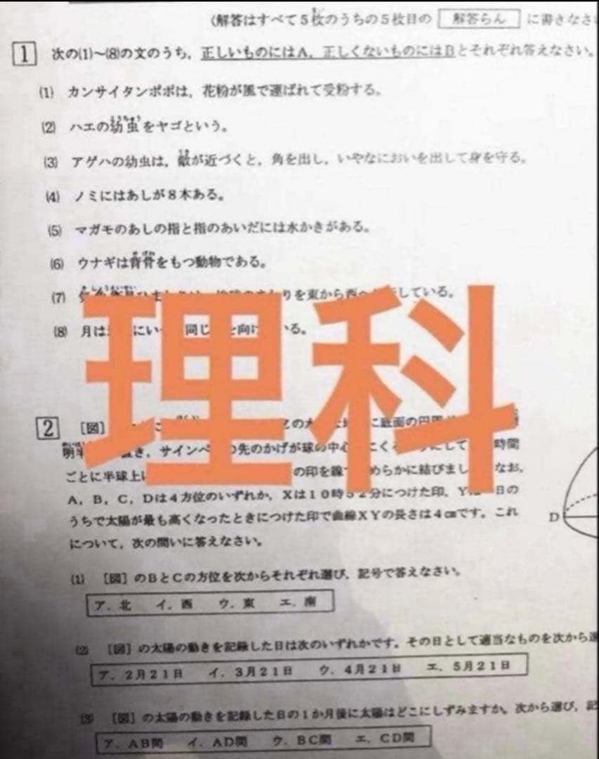 まる様