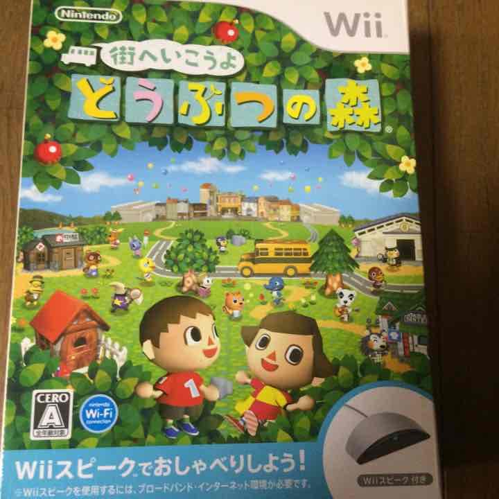 wii本体 ソフト2本セット