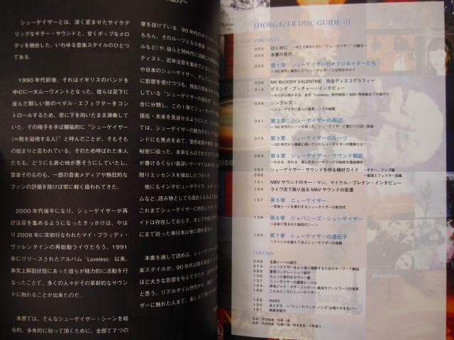 シューゲイザー・ディスク・ガイド　黒田隆憲　shoegazer