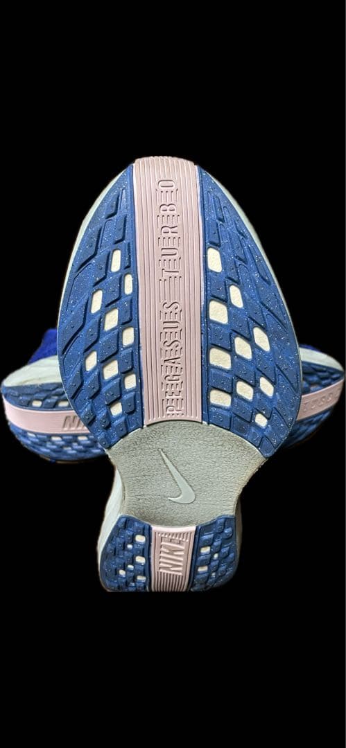 Nike ペガサスプラス　カラー:ブルー