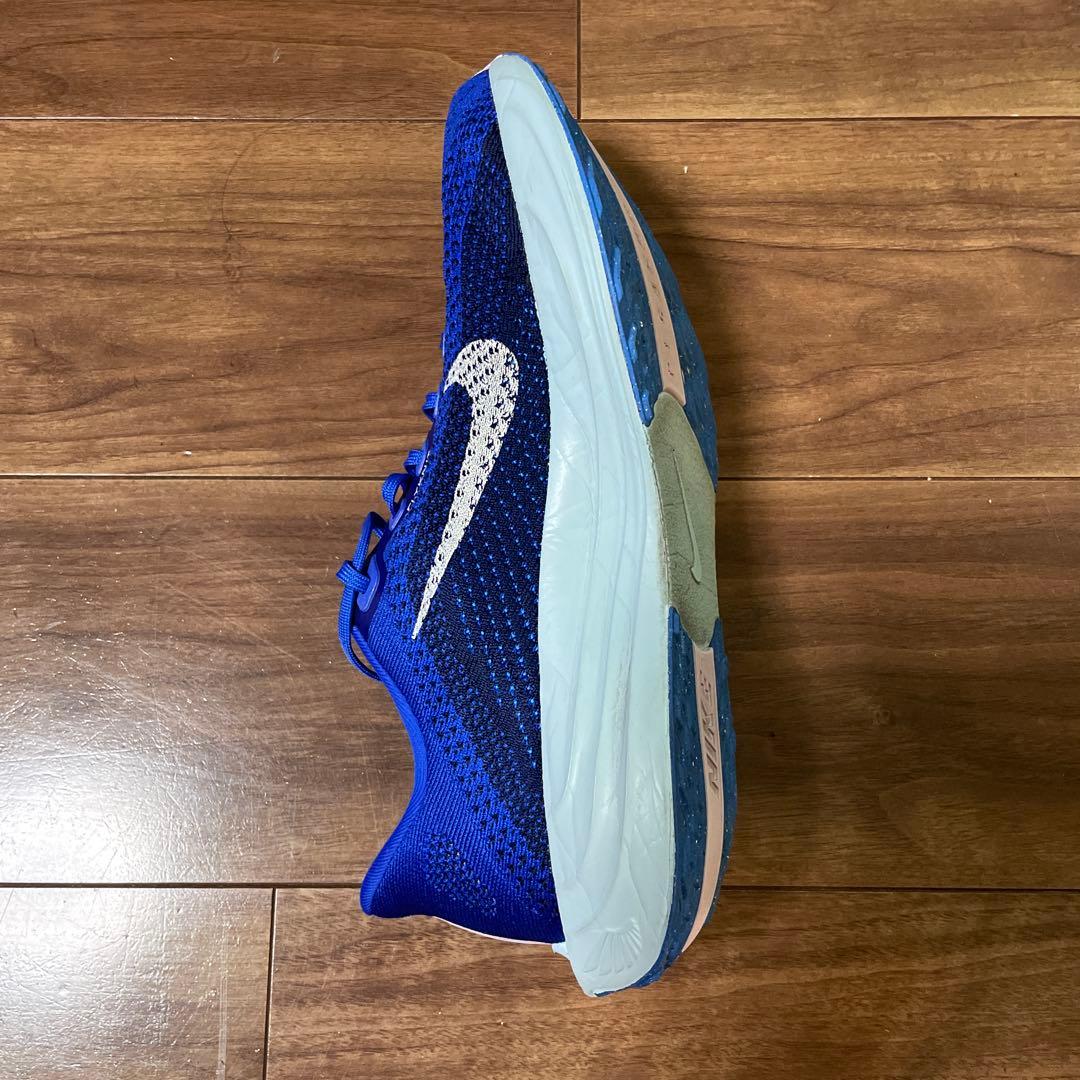 Nike ペガサスプラス　カラー:ブルー
