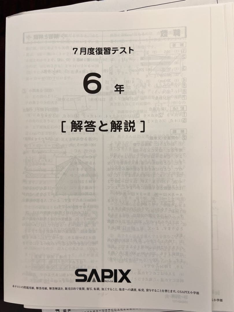 2024年SAPIX 6年生 テスト解答と解説集(全部12回分)