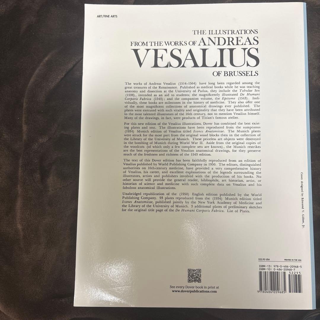 ANDREAS VESALIUS 解剖学イラスト
