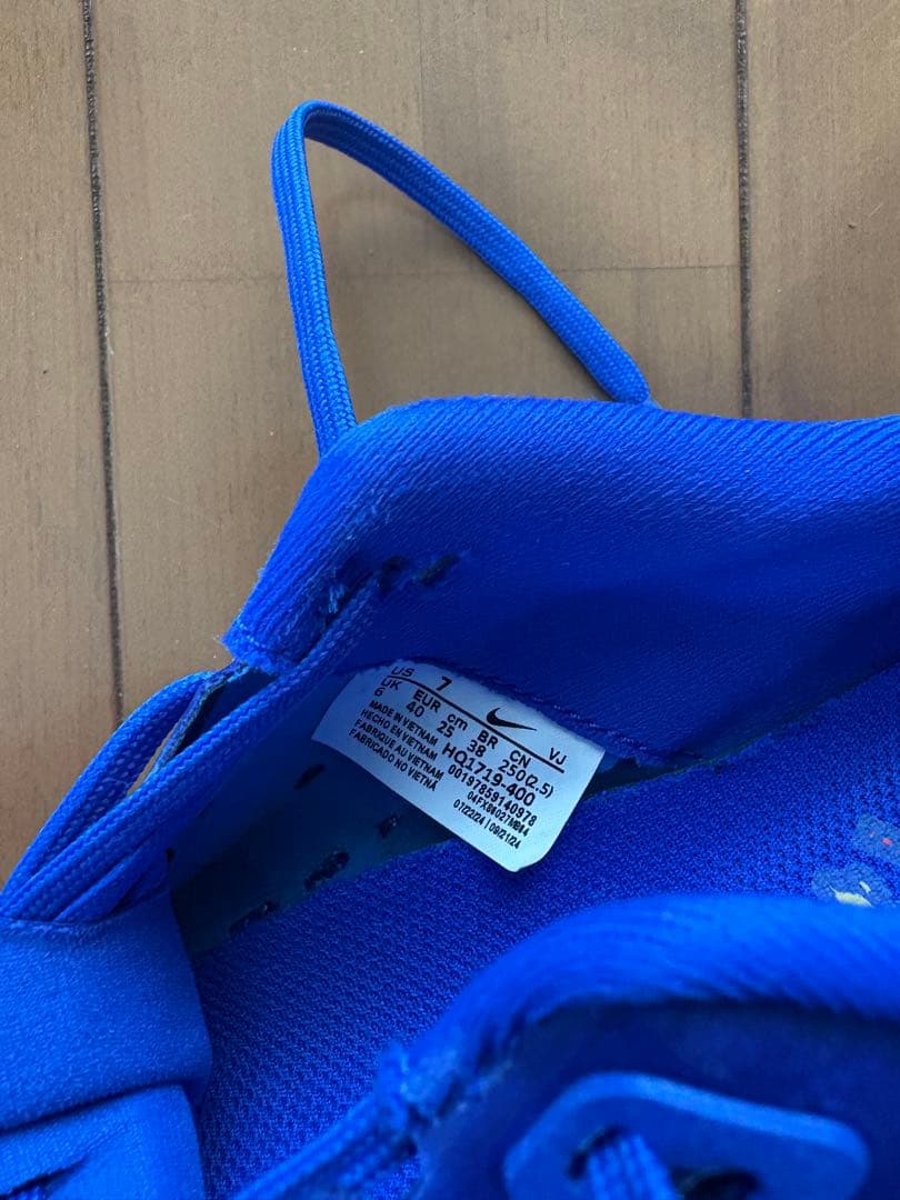 NIKEペガサスプラス 25センチ