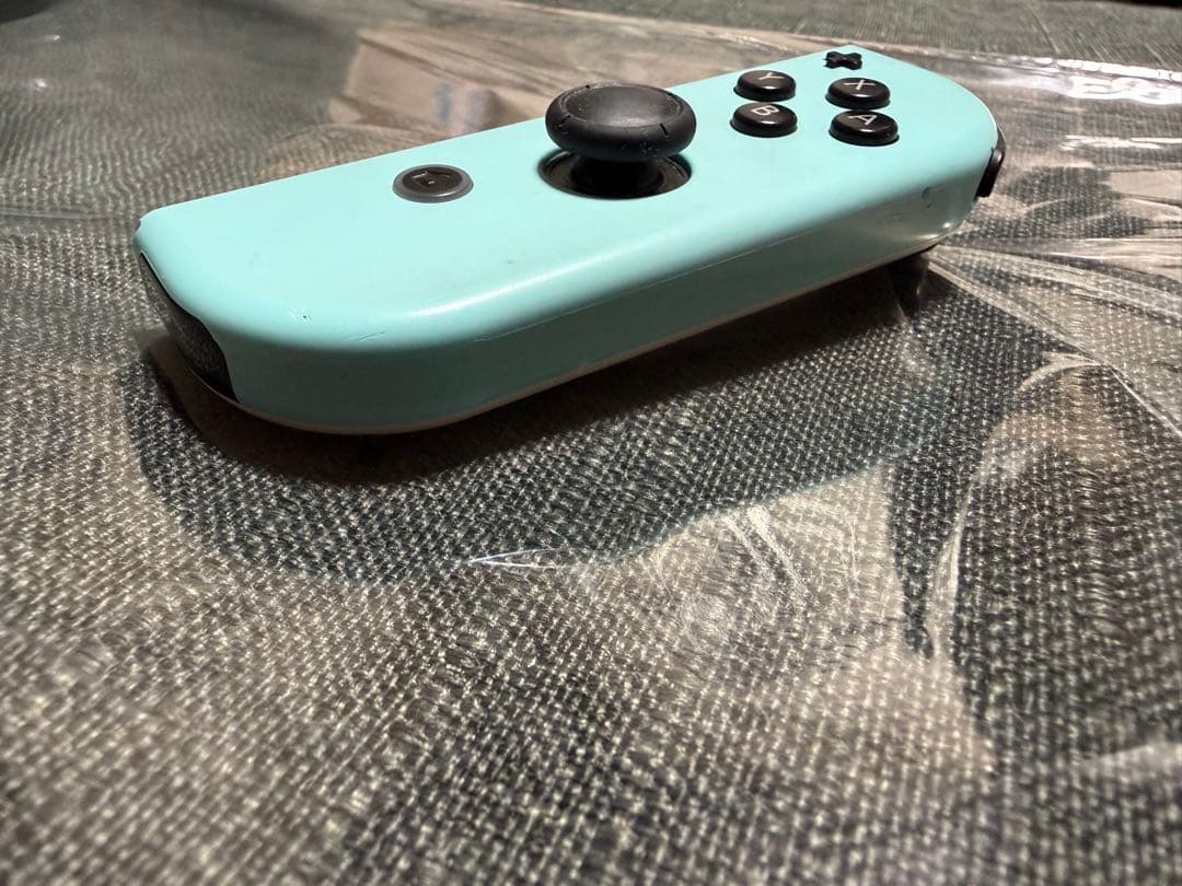 Nintendo Switch あつまれ どうぶつの森セット　ソフトなし