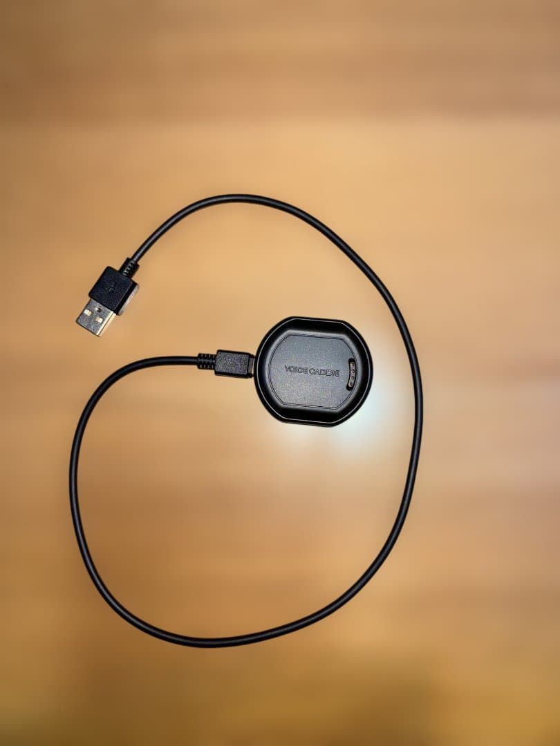 ラウンド用品・アクセサリー VOICE CADDIE T11PRO